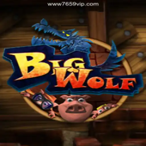Dive into the World of BigWolf: Daily Excitement Awaits